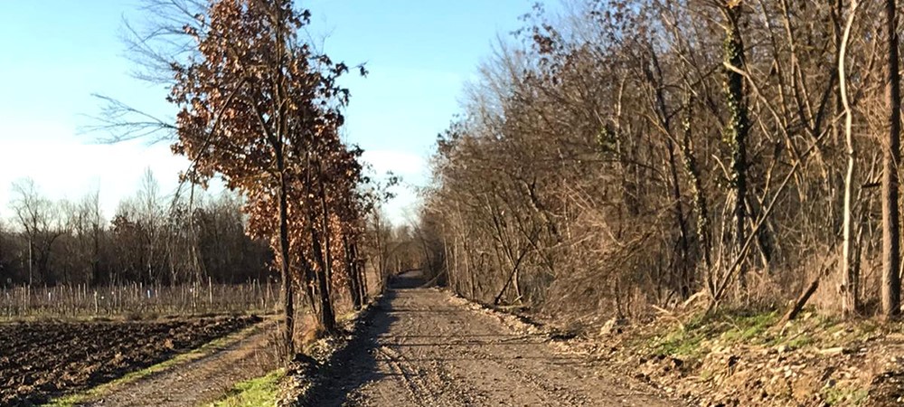 Mancano pochi mesi alla inaugurazione della Greenway Voghera-Varzi